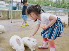 -前小桔亲子创意农场·草莓采摘·露营烧烤