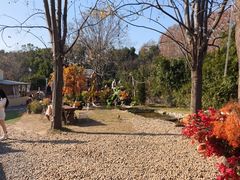 -HERRE·FARM 赫尔露营农场·团建聚会包场