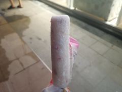 -蒲公英(五里店)