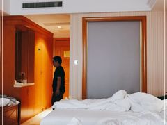 -维也纳酒店(广州增城万达广场地铁站店)