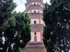 -广州莲花山旅游区