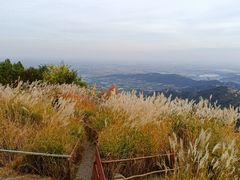 -大芦花风景区
