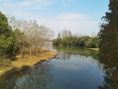 -上海海湾国家森林公园