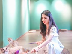 -柯斗斗主题餐厅·狗咖·围炉煮茶·茶饮(国瑞升平里店)