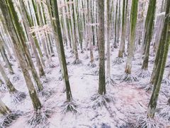 -青山湖景区