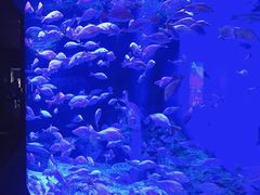 -成都浩海立方海洋公园