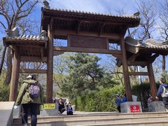 -阳台山自然风景区