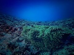 -中国杭州低碳科技馆