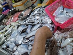 -三亚新鸿港水果一级批发市场