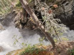 -阿萨巴斯卡瀑布观景点