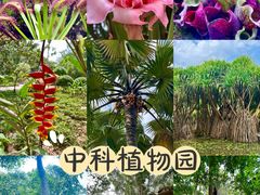 -中国科学院西双版纳热带植物园