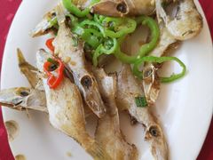 椒盐扒皮鱼-蛇口康乐快餐鱼仔档(翠苑小区店)