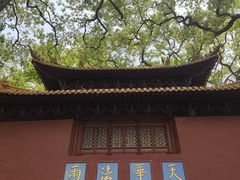 -普陀山风景名胜区-法雨禅寺