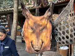 -青城甲(青城山店)