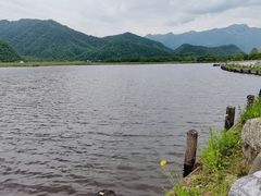 -大九湖
