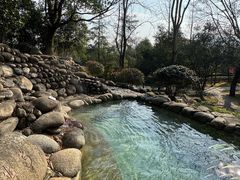 -三江森林温泉度假区