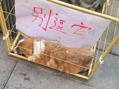 -昆明老街