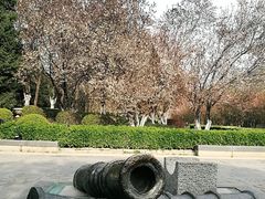 -元大都城垣遗址公园