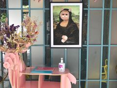 -喵屿·大理花园猫咖