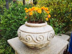 -天鹅湖生态旅游风景区