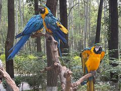 -北京野生动物园