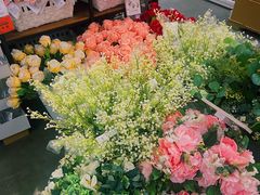 -宜家家居(哈尔滨商场店)