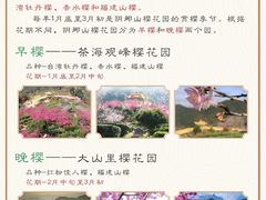 -梅州天地人花园酒店(梅县人民广场店)