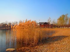 -永定河休闲森林公园