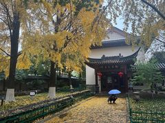 -郑和公园