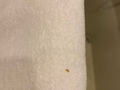 -宜春明月山维景国际温泉度假酒店