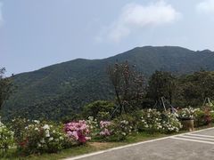 -梧桐山风景名胜区