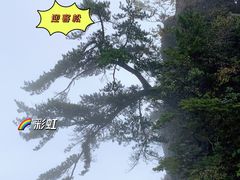 -恩施大峡谷