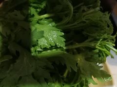 -爱膳菌锅锅(阳南店)