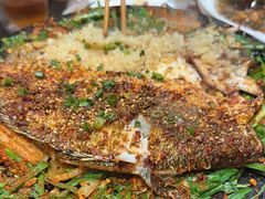 -福苗小骆驼烧烤(大唐不夜城店)