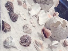 -福州罗源湾海洋世界旅游区