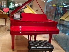 -柏斯音乐艺术中心·钢琴·吉他(世纪金源店)