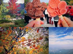 -香山公园