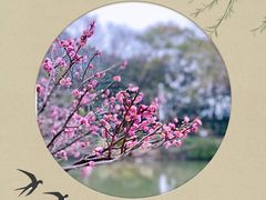 -上海醉白池公园