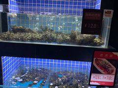 水产区-徐记海鲜(汉城湖|太奥店)