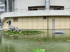 -金陵中学(河西分校)