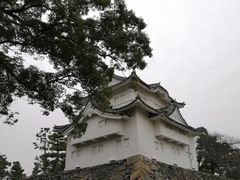 -名古屋城