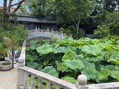 -龚家花园农家乐休闲别墅