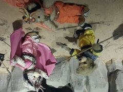 -成都泰迪熊博物馆