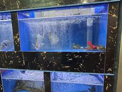 -官塘锋记鱼生·生腌·砂锅粥(牌坊街店)