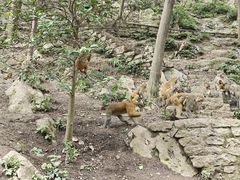 -黔灵山公园