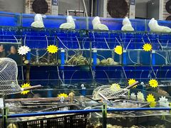 -这片海·海景餐厅(博鳌店)