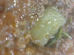 -秦二哥格格(高笋塘店)