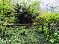 -四川大学(望江校区)