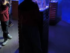 -太平洋海底世界