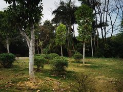 -广西壮族自治区药用植物园